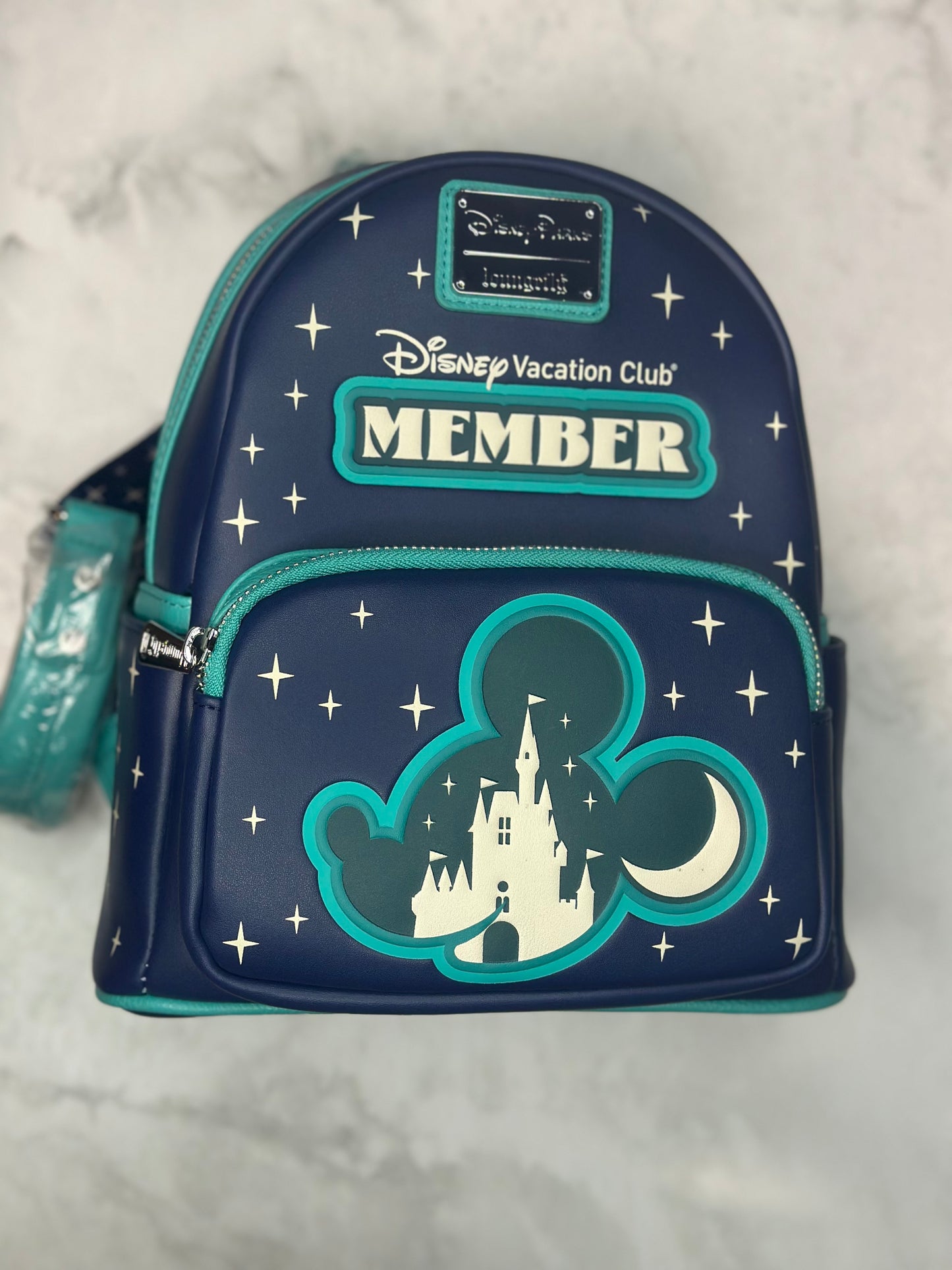 Disney DVC bookbag