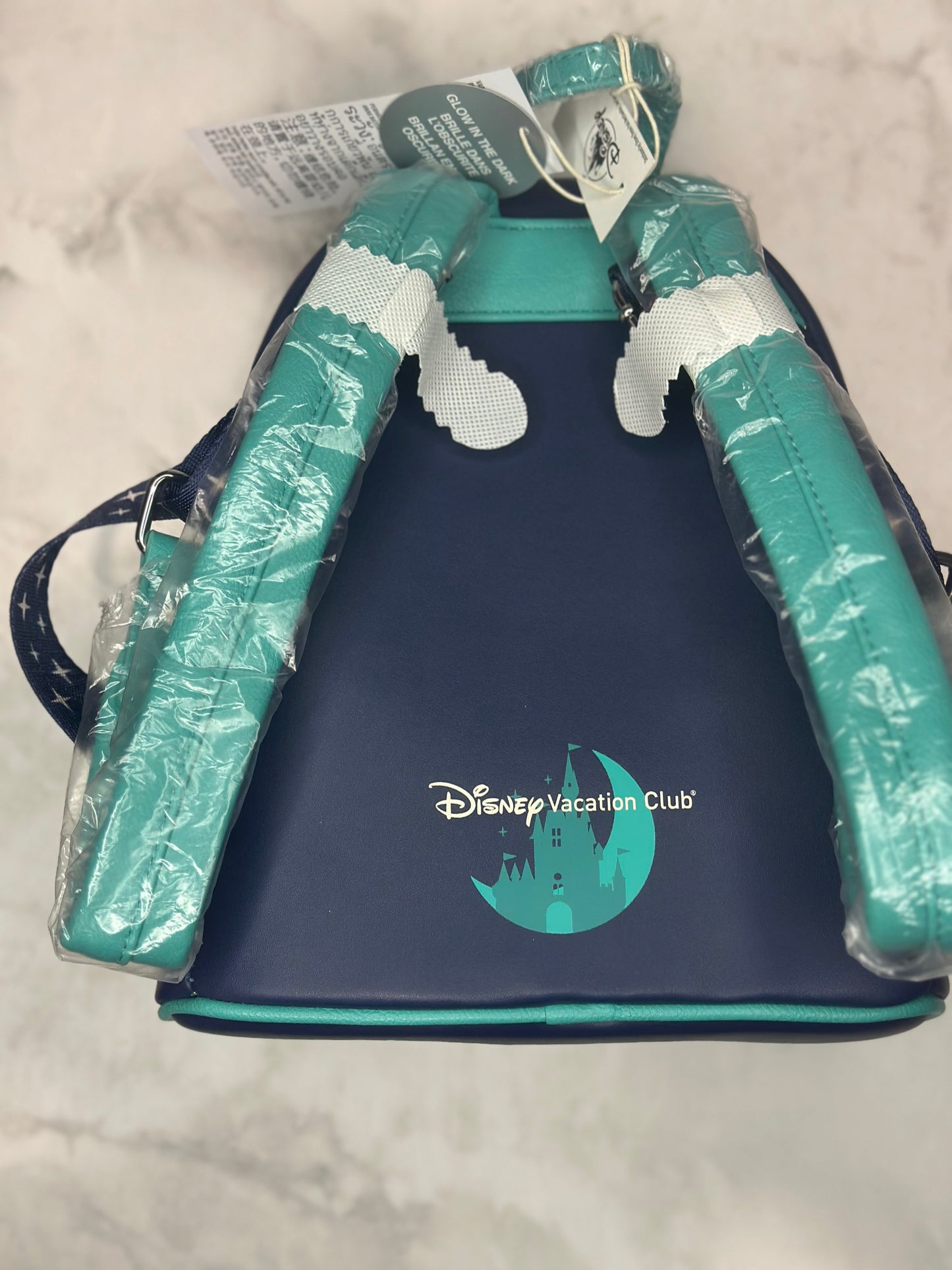 Disney DVC bookbag